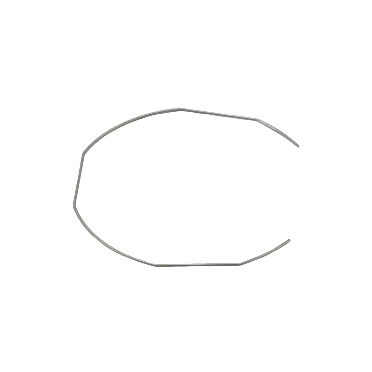 Filter Spring (25105001)