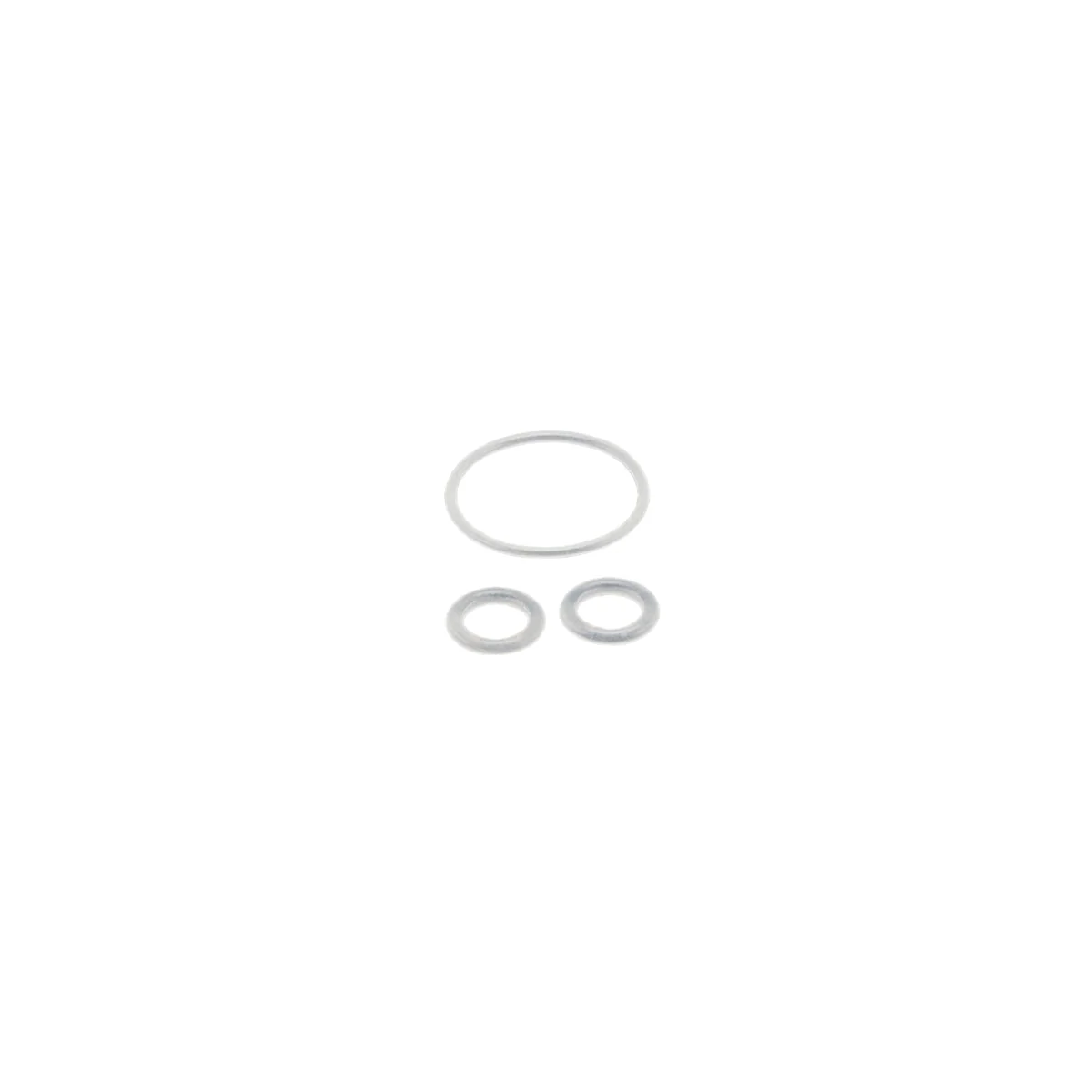 O-Ring Kit For Flowmeter (00055294)